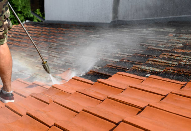 Best Local Pressure Washing Services  in Parlier, CA