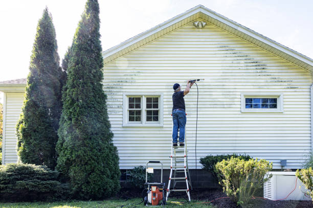 Best House Pressure Washing  in Parlier, CA