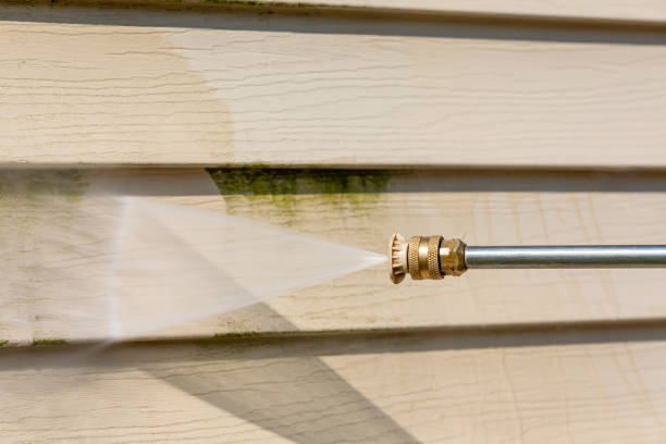 Best Residential Pressure Washing Services  in Parlier, CA